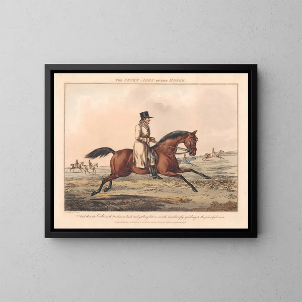 Les Sept Âges du Cheval - Henry Thomas Alken — kehystetty taideteos seinällä
