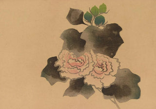 Hochu Nakamura - Korin gafu Pl05.webp