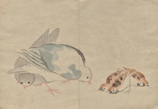 Hochu Nakamura - The Krin Picture Book Pl04.webp