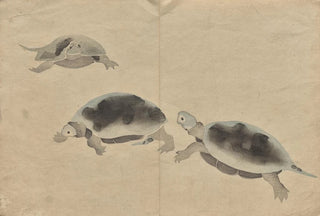 Hochu Nakamura - The Krin Picture Book Pl16.webp