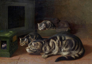 Horatio Henry Couldery - Curiosity.webp