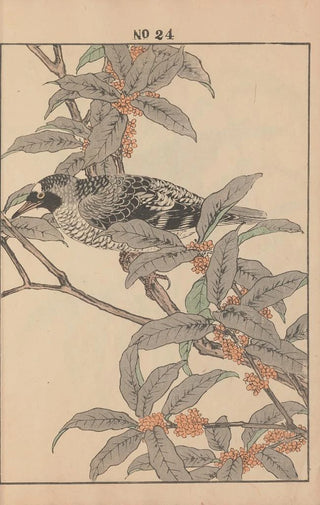 Imao Keinen - Keinen kach gafu Pl026.webp