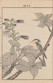 Keinen kach gafu Pl099 - Imao Keinen — näkymä teoksesta