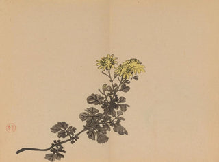 Keinen shugajō Pl34 - Imao Keinen — näkymä teoksesta
