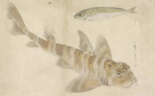Ishikawa Kazan - Twee vissen poon en haring.webp