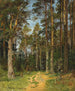 Siverskaya - Ivan Ivanovich Shishkin — näkymä teoksesta