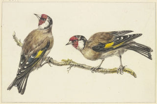 J H Van Loon - Two goldfinches.webp