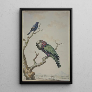 Jabes Heenck - A RedFan Parrot Deroptyus accipitrinus and a TawnyShouldered Blackbird Agelaius humeralis.webp