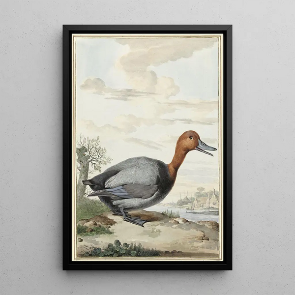 Jabes Heenck - Tafeleend.webp