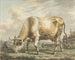 Vache paissant - Jacob Cats — näkymä teoksesta