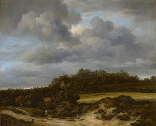 Maissipellosta - Jacob van Ruisdael — näkymä teoksesta