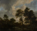 Lac forestier avec deux cygnes - Jacob van Ruisdael — näkymä teoksesta