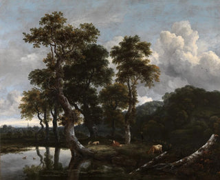 Suuri joukko puita veden rannalla - Jacob van Ruisdael — näkymä teoksesta