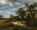 Maisema - Jacob van Ruisdael — näkymä teoksesta