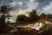 Falaise sablonneuse - Jacob van Ruisdael — näkymä teoksesta