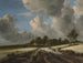 Viljapelto - Jacob van Ruisdael — näkymä teoksesta