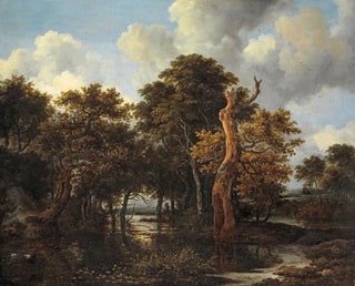 Jacob van Ruisdael - Wooden Marsh Landscape with Dead Tree.webp