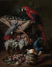 Luonnonkuva still life kahdella papukaijalla, kääpiösiilillä, hedelmäkori ja siipikarjaa - Jacob van de Kerckhoven — näkymä teoksesta