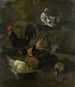 Un coq, des poules, des colombes et une marmotte - Jacomo Victors — näkymä teoksesta
