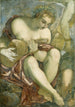 Musa luuttua soittamassa - Jacopo Tintoretto — näkymä teoksesta