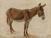 Un âne - Jacques-Laurent Agasse — näkymä teoksesta