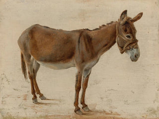 Un âne - Jacques-Laurent Agasse — näkymä teoksesta