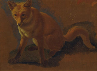 JacquesLaurent Agasse - Study of a Fox.webp