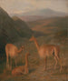 Vigongit - Jacques-Laurent Agasse — näkymä teoksesta