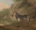 Zèbre - Jacques-Laurent Agasse — näkymä teoksesta