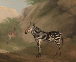 Zèbre - Jacques-Laurent Agasse — näkymä teoksesta