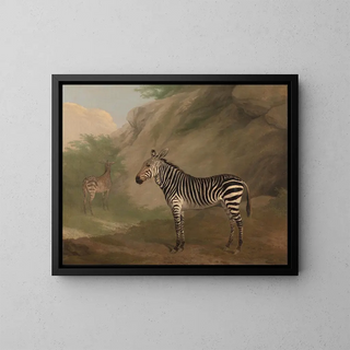 Zèbre - Jacques-Laurent Agasse — kehystetty taideteos seinällä