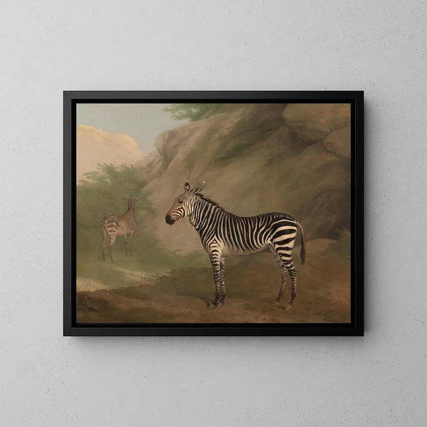Zèbre - Jacques-Laurent Agasse — kehystetty taideteos seinällä