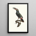 L'Aracari Koulik Guyanan uros - Jacques Barraband — kehystetty taideteos seinällä