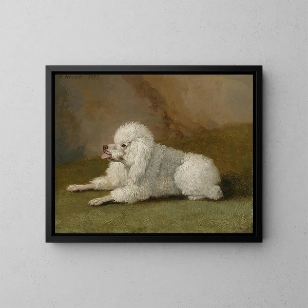 Portrait of a poodle - Jakob Philipp Hackert — kehystetty taideteos seinällä