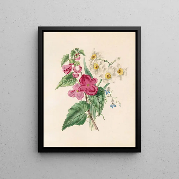 James Ackerman - Bignonia Martiana Narcissus And Blue Lobelia.webp