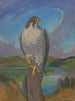 Falco peregrinus - James C. Kulhanek — näkymä teoksesta
