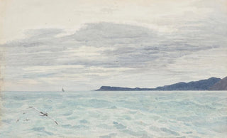 James Crowe Richmond - Headland near Greymouth.webp