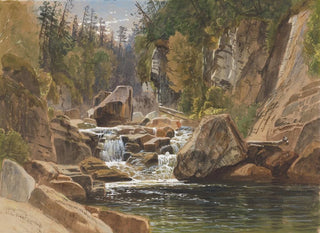 Sur l'Ausable - James David Smillie — näkymä teoksesta