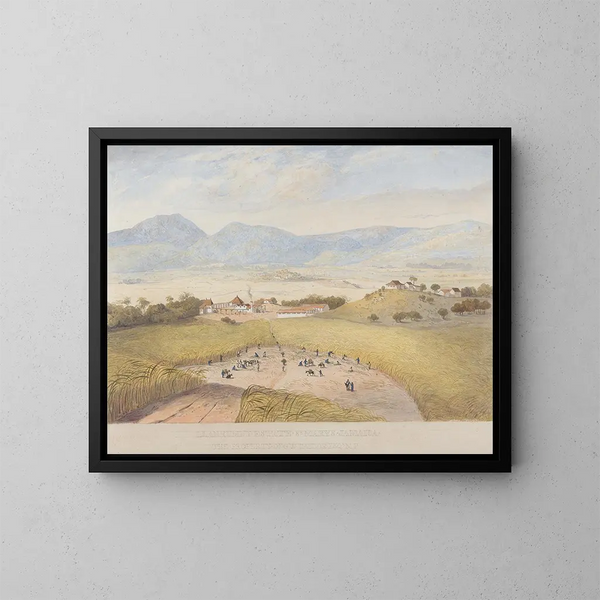 Domaine de Llanrumny, Sainte-Marie, Jamaika - James Hakewill — kehystetty taideteos seinällä