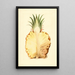 Ananas comosus, ananas - James Marion Shull — kehystetty taideteos seinällä