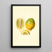 Citrus limon - James Marion Shull — kehystetty taideteos seinällä