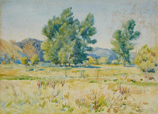 James Nairn - Summer.webp