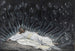 Jeesus enkeleitä avustamassa - James Tissot — näkymä teoksesta