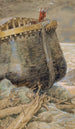 La Colombe revient vers Noé - James Tissot — näkymä teoksesta