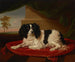 Un épagneul King Charles sur un coussin rouge - James Ward — näkymä teoksesta