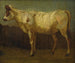 Portrait d'une vache - James Ward — näkymä teoksesta