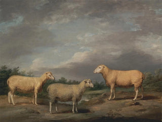 Moutons Ryelands, kuninkaan lampaasta, kuninkaan märehtijästä ja Lord Somervillen lampaasta - James Ward — näkymä teoksesta