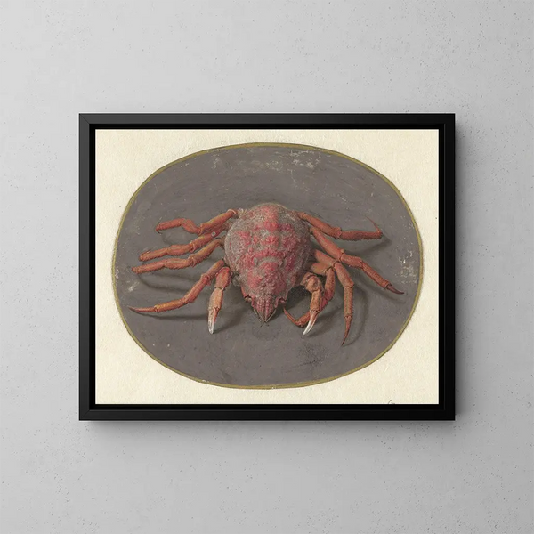 Crabe - Jan Augustin van der Goes — kehystetty taideteos seinällä