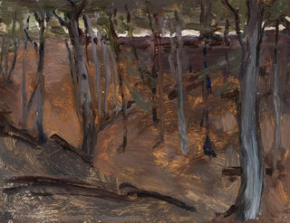 Jan Cigliski - Forest  Finland.webp