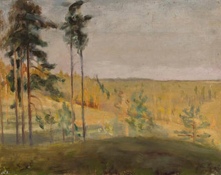 Terioki, Suomi - Jan Cybis — näkymä teoksesta